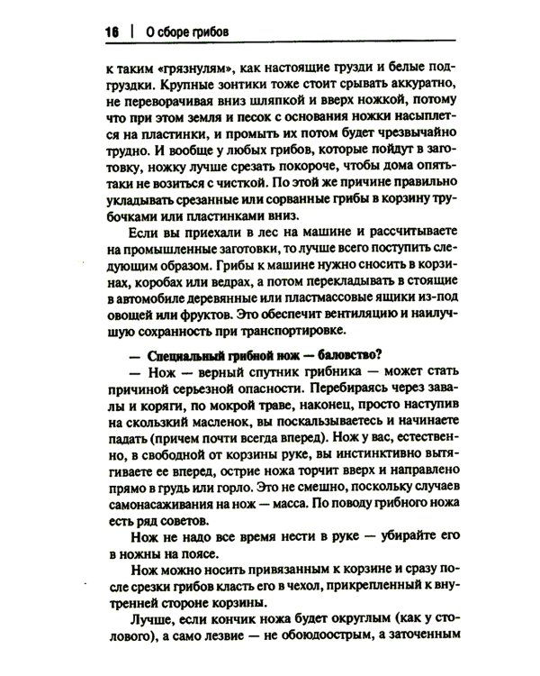 Грибы в вопросах и ответах. Все, что вы хотели спросить о грибах