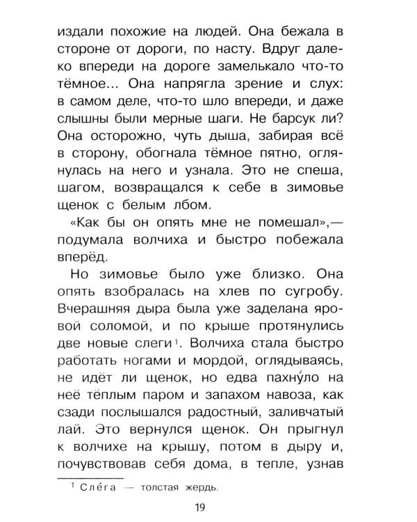 Дополнительное изображение книги «Мальчики и другие рассказы»