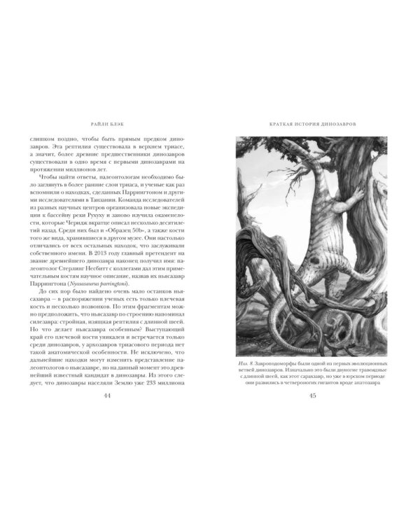 Перья, кровь и миллионы лет: Полная история динозавров