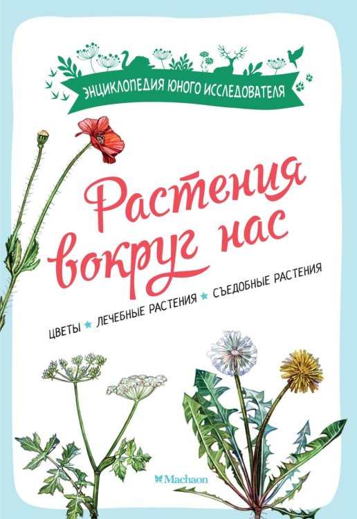 Растения вокруг нас. Цветы. Лечебные растения. Съедобные растения