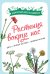 Растения вокруг нас. Цветы. Лечебные растения. Съедобные растения