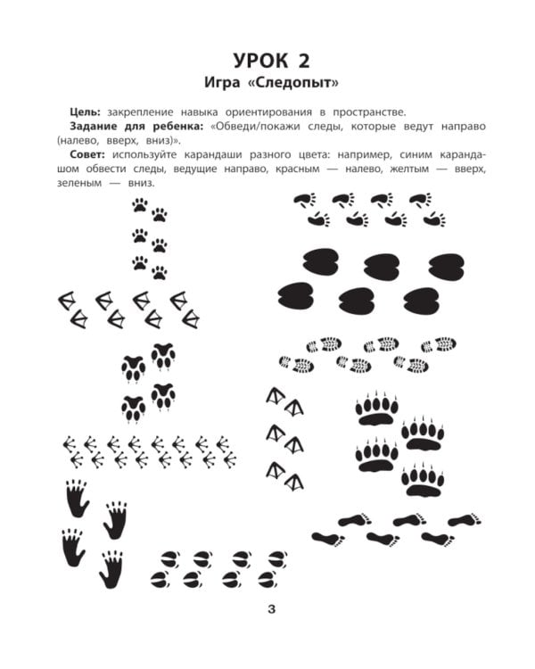 Логика. Память. Интеллектуальная лабильность: рабочая нейротетрадь для дошкольников. 4-е изд