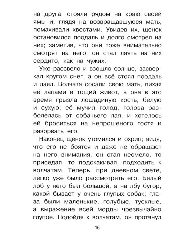 Дополнительное изображение книги «Мальчики и другие рассказы»