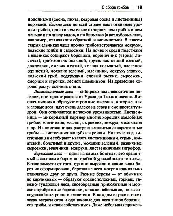 Грибы в вопросах и ответах. Все, что вы хотели спросить о грибах