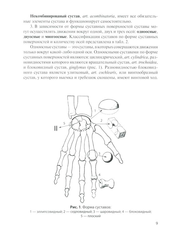 Анатомия соединений костей: Учебное пособие. 17-е изд., перераб. и доп