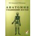 Анатомия соединений костей: Учебное пособие. 17-е изд., перераб. и доп