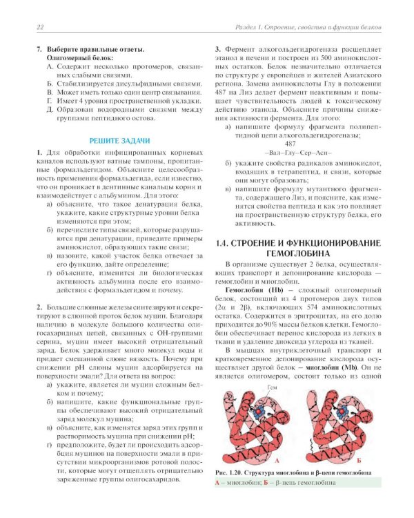 Биохимия с упражнениями и задачами: Учебник