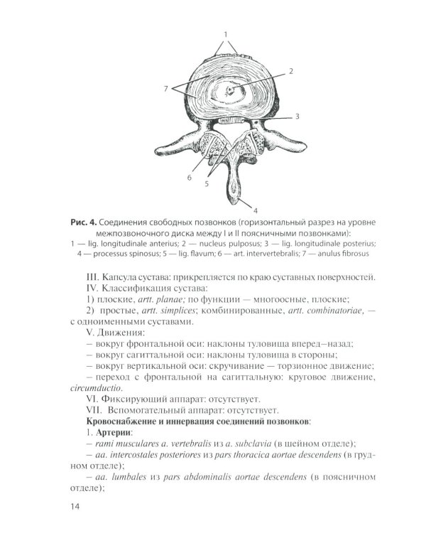 Анатомия соединений костей: Учебное пособие. 17-е изд., перераб. и доп
