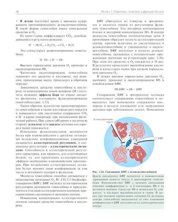 Биохимия с упражнениями и задачами: Учебник