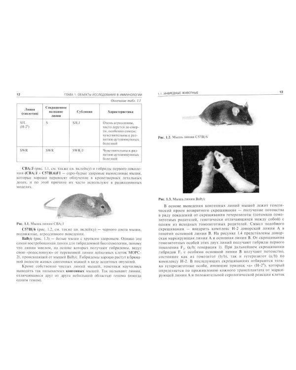 Иммунология: Практикум: Учебное пособие