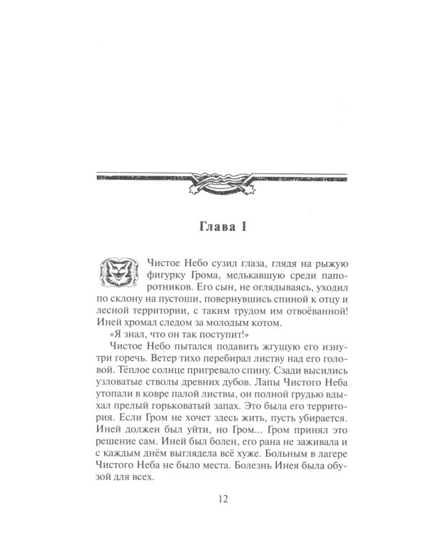 Коты-воители. Первая битва