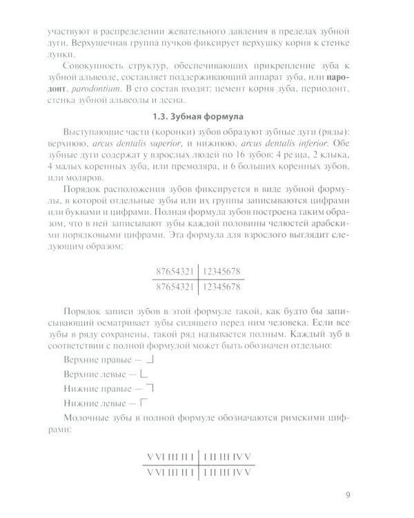 Анатомия зубов человека: Учебное пособие. 7-е изд., доп. и испр