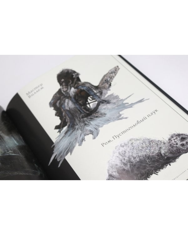 Bloodborn. Официальные иллюстрации