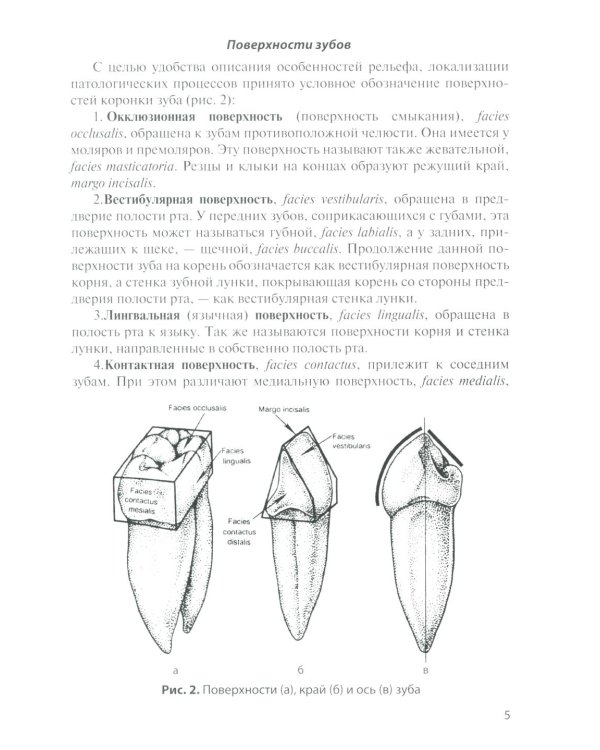 Анатомия зубов человека: Учебное пособие. 7-е изд., доп. и испр