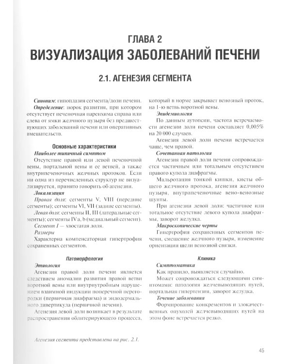 Визуализация заболеваний печени и желчевыводящих путей: Учебное пособие