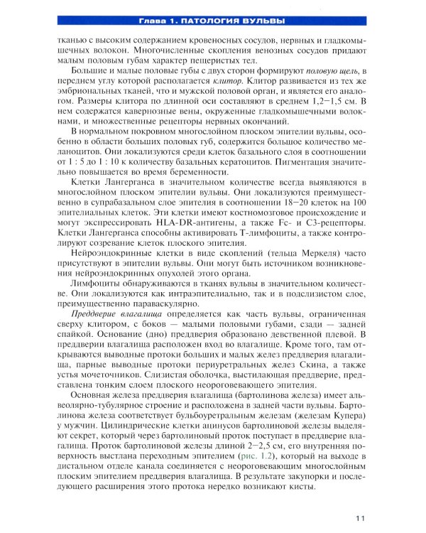Опухоли вульвы и влагалища