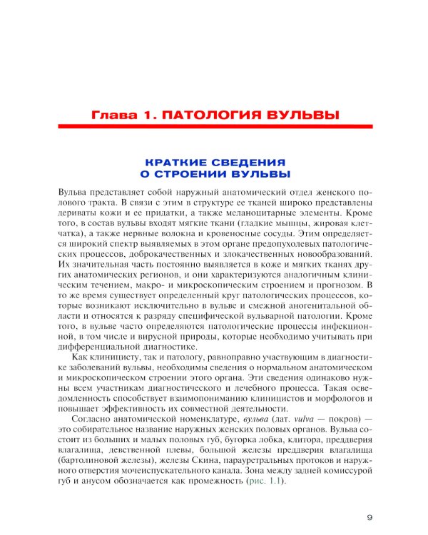Опухоли вульвы и влагалища