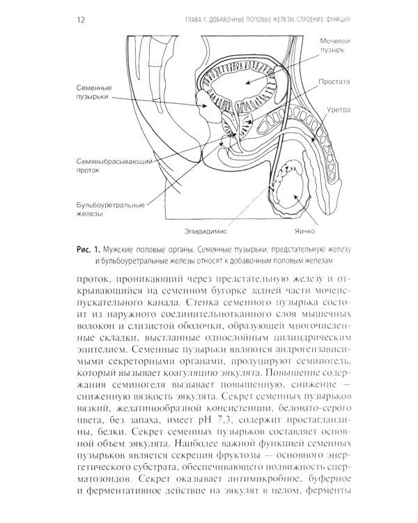 Интерпретация лабораторных исследований при инфекциях мужских половых желез и нарушении репродуктивной функции