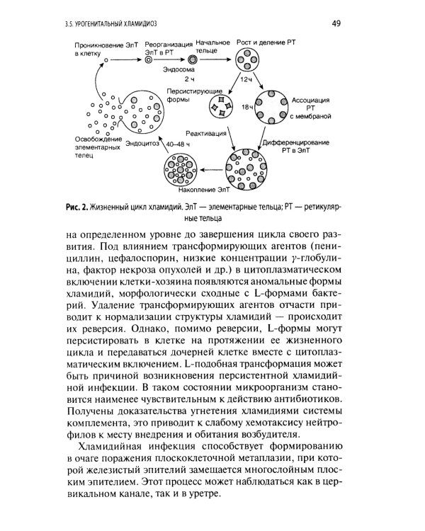 Интерпретация лабораторных исследований при инфекциях мужских половых желез и нарушении репродуктивной функции