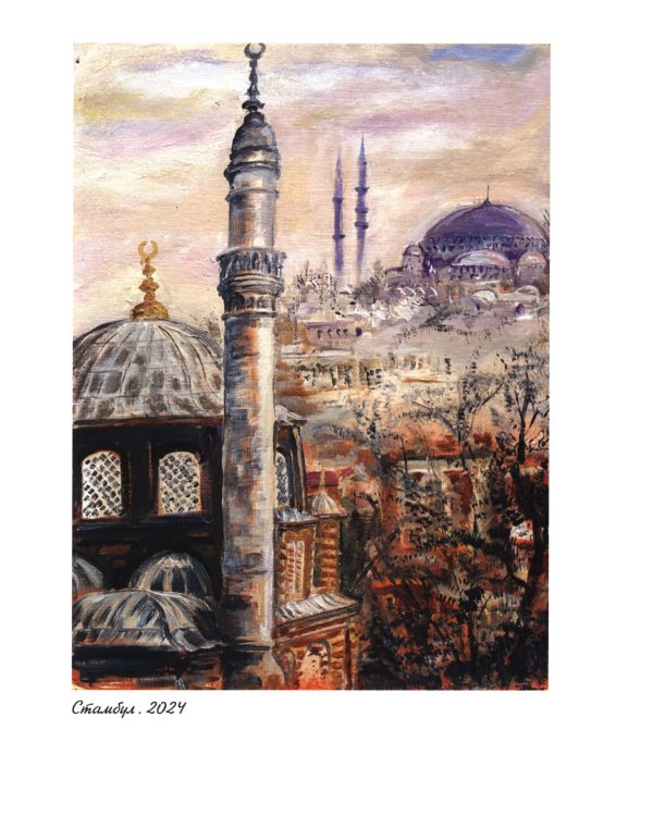 Арабский протокол