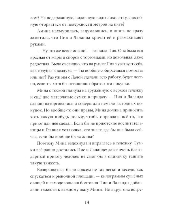 Дополнительное изображение книги «Амина и проклятый корабль»