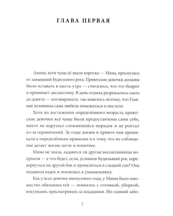 Дополнительное изображение книги «Амина и проклятый корабль»