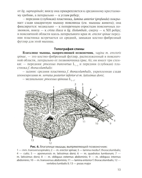 Анатомия мышечной системы (мышцы, фасции и топография): Учебное пособие. 18-е изд., перераб. и доп