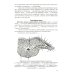 Анатомия мышечной системы (мышцы, фасции и топография): Учебное пособие. 18-е изд., перераб. и доп