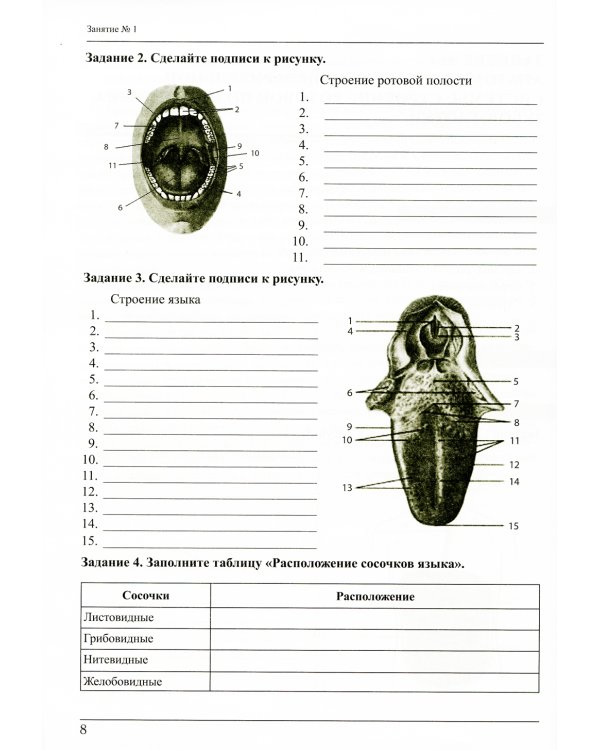 Анатомия и физиология: тетрадь-практикум. Ч. 2