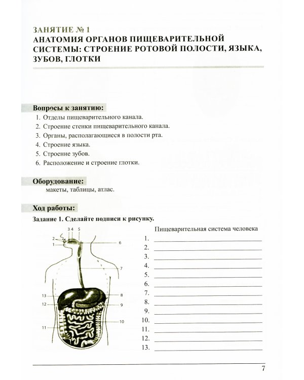 Анатомия и физиология: тетрадь-практикум. Ч. 2