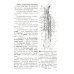 Анатомия мышечной системы (мышцы, фасции и топография): Учебное пособие. 18-е изд., перераб. и доп