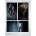 Мир игры: The Last Of Us Part II