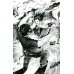 Рыцарь и цыган. 2-е изд