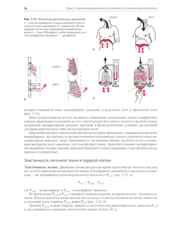 Внутренние болезни. Система органов дыхания: Учебное пособие