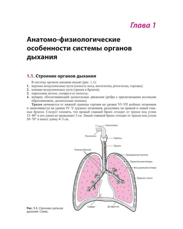 Внутренние болезни. Система органов дыхания: Учебное пособие