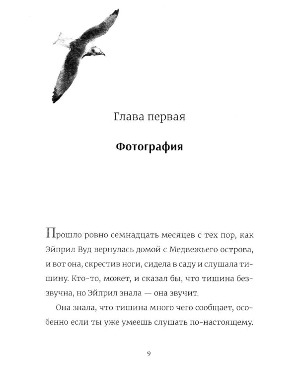 Дополнительное изображение книги «В поисках медведя»