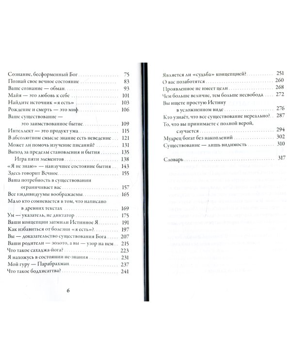 Ничто есть Всё. Последние беседы
