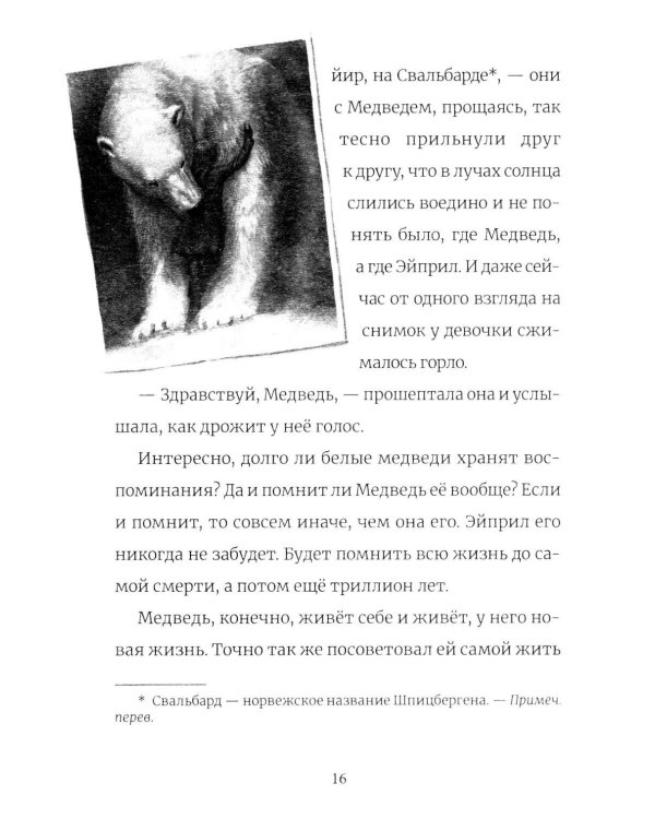 Дополнительное изображение книги «В поисках медведя»
