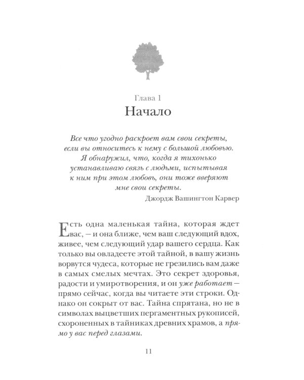 Секрет мгновенного исцеления; Мгновенное исцеление. Техника Квантового Смещения (комплект из 2-х книг)