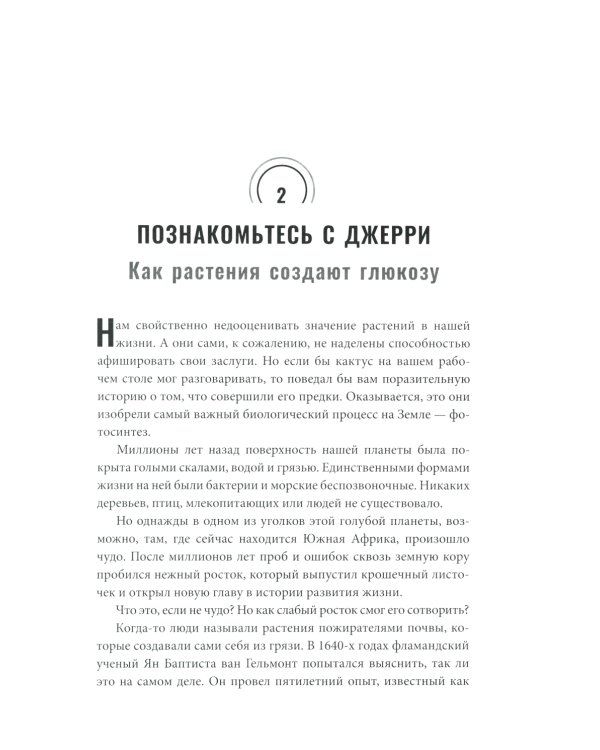 Богиня глюкозы: Нормализуйте уровень сахара в крови, чтобы изменить свою жизнь