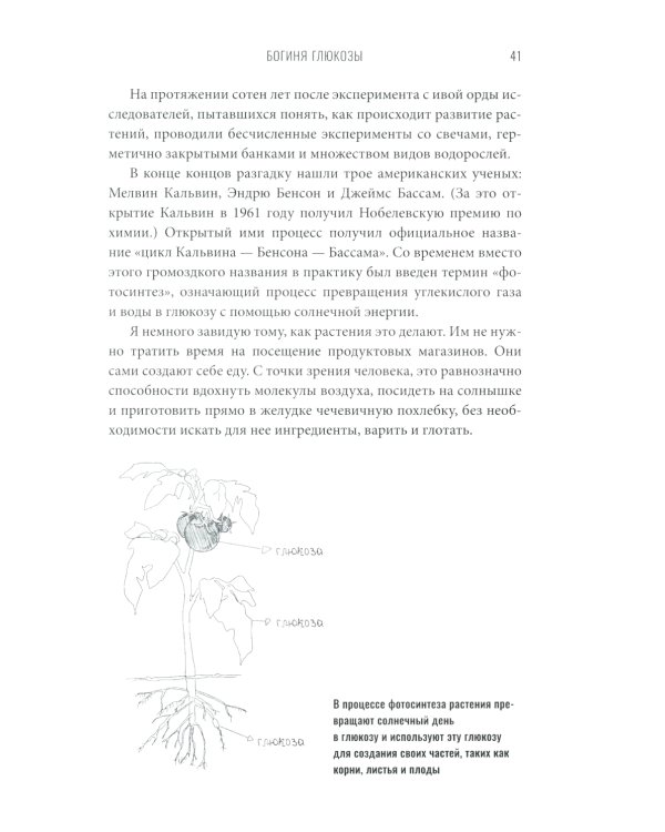 Богиня глюкозы: Нормализуйте уровень сахара в крови, чтобы изменить свою жизнь