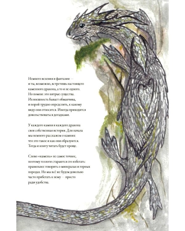 Дополнительное изображение книги «Каменные драконы.Книга о драконах, камнях и минералах»