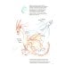 Дополнительное изображение книги «Каменные драконы.Книга о драконах, камнях и минералах»