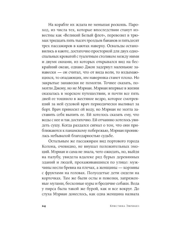 Великий разлом: роман