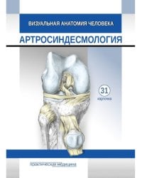 Визуальная анатомия человека. Артросиндесмология: Учебное пособие (карточки 31 шт.)