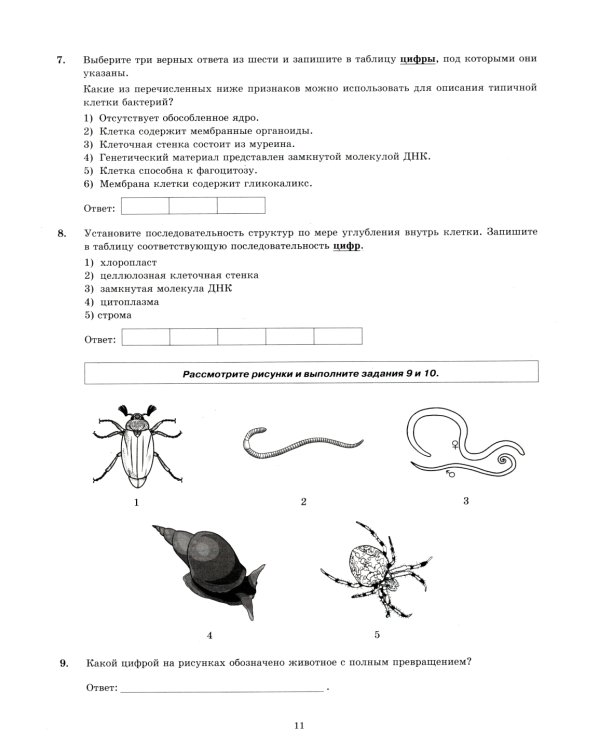 ЕГЭ 2025. Биология. 30 вариантов. Типовые варианты экзаменационных заданий