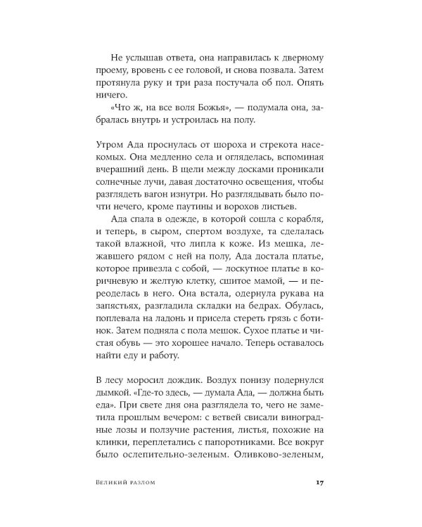 Великий разлом: роман