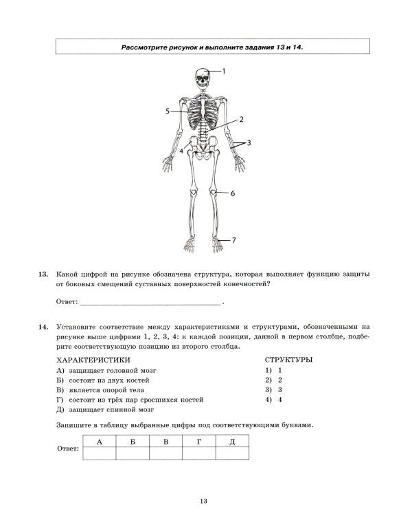 ЕГЭ 2025. Биология. 30 вариантов. Типовые варианты экзаменационных заданий