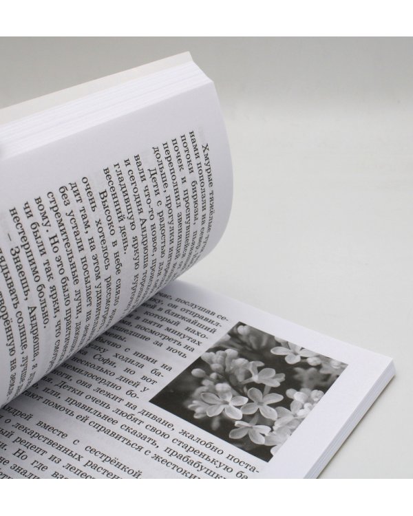 Сказочный мир доброты, или Приключения правнуков Айболита. Сборник сказок и рассказов