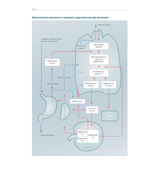 Акупунктура. Практическое руководство. 3-е изд